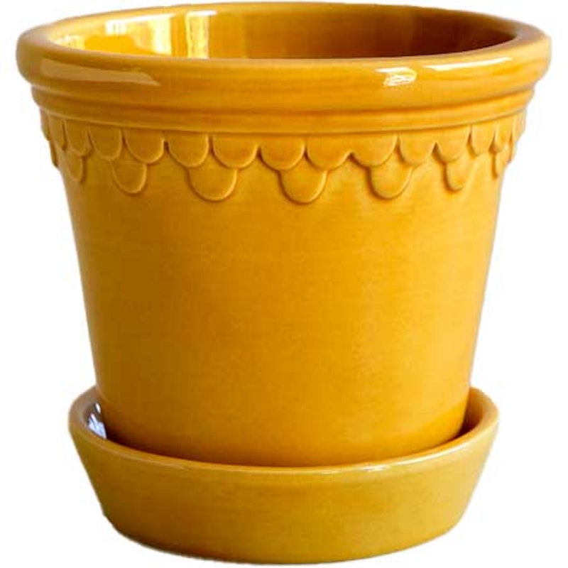 Copenhagen Krukke Med Underkop 16 cm, Amber Yellow