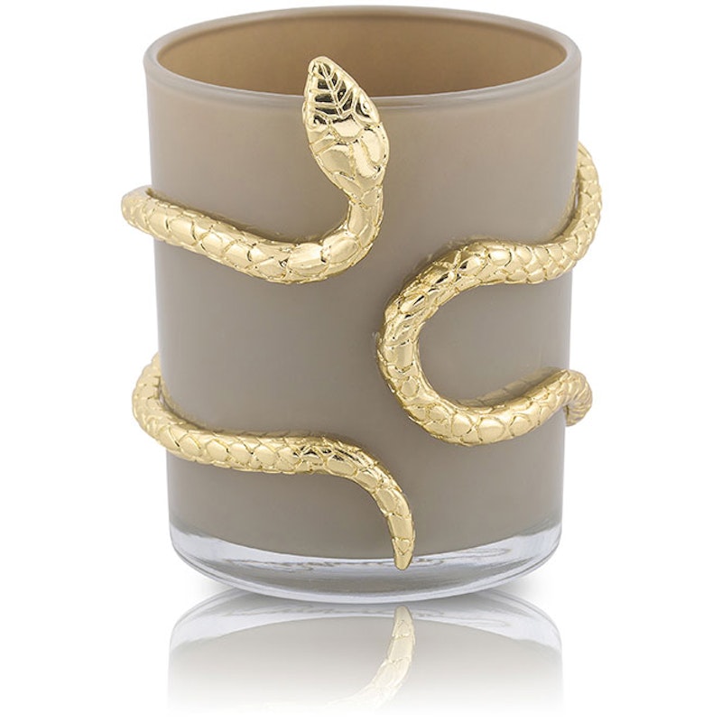 Snake Lysestage, Greige