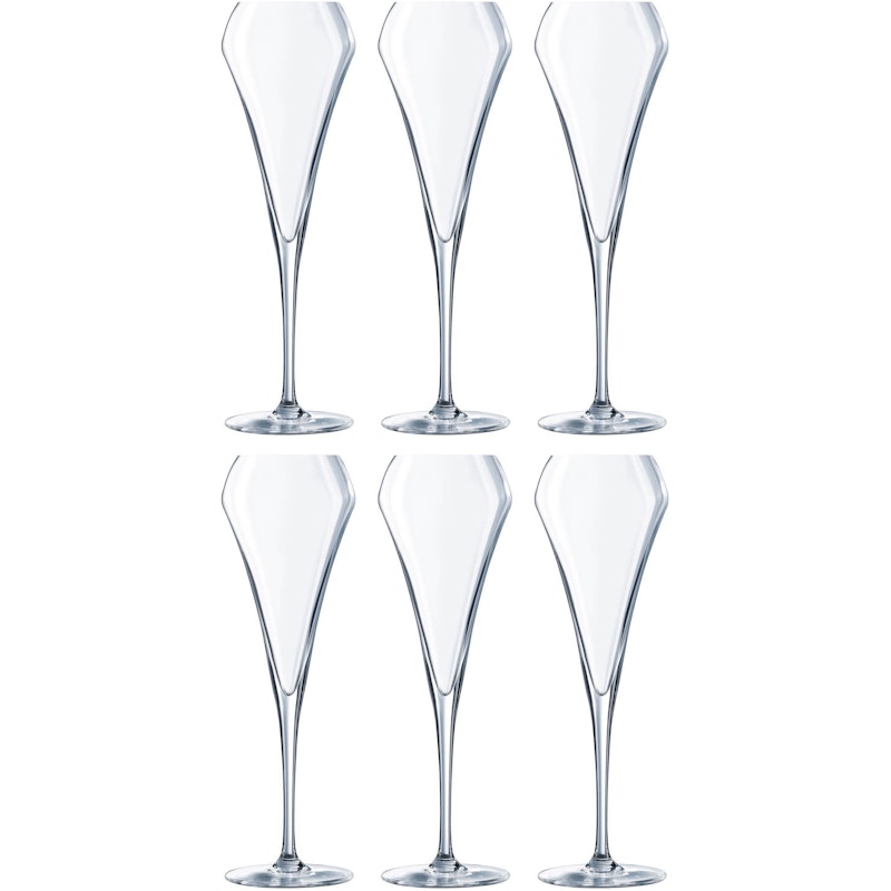 Open Up Champagneglas 20 cl, 6-pak