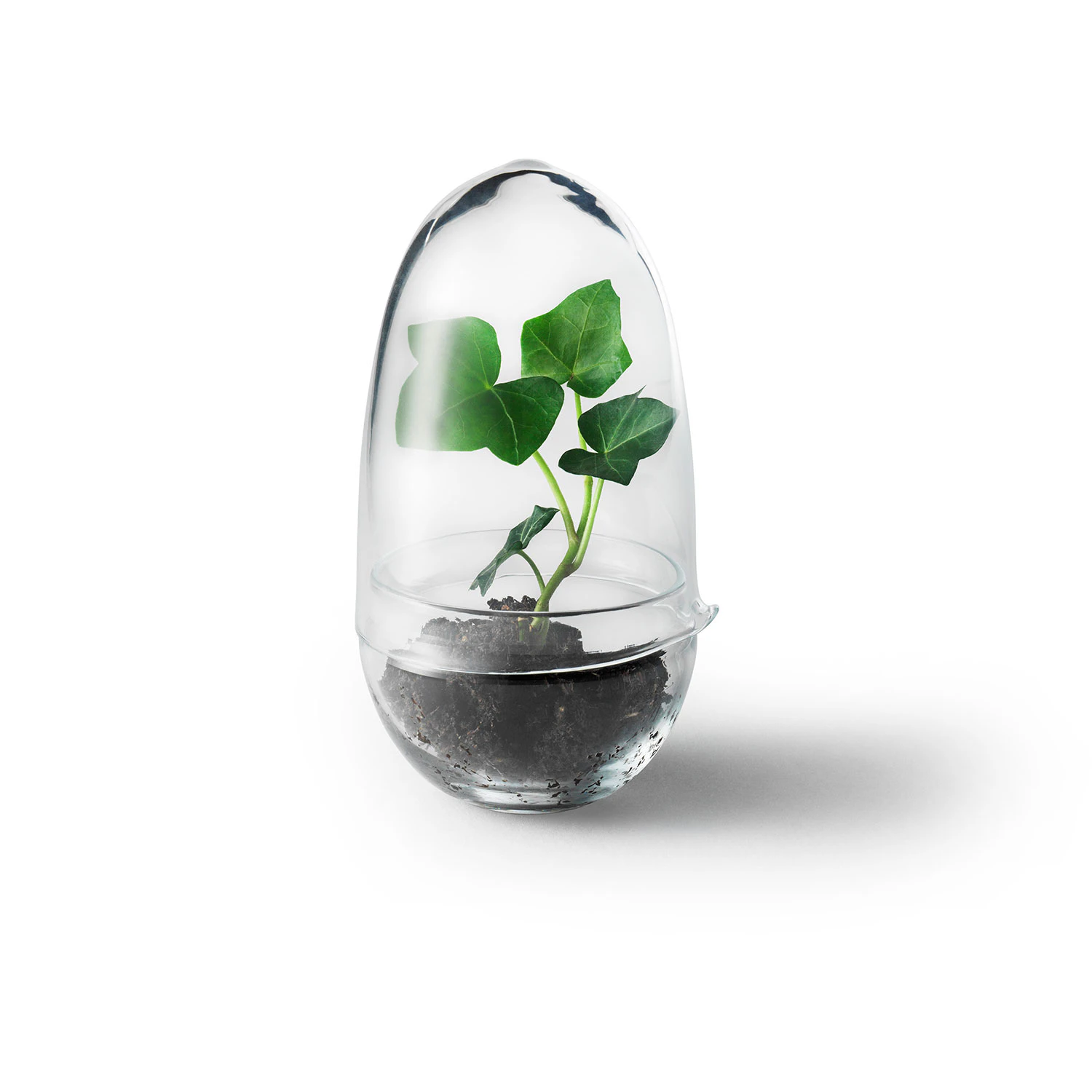 Design House Stockholm Grow Minidrivhus S - Krukker Glas Klar - 2043-0000
