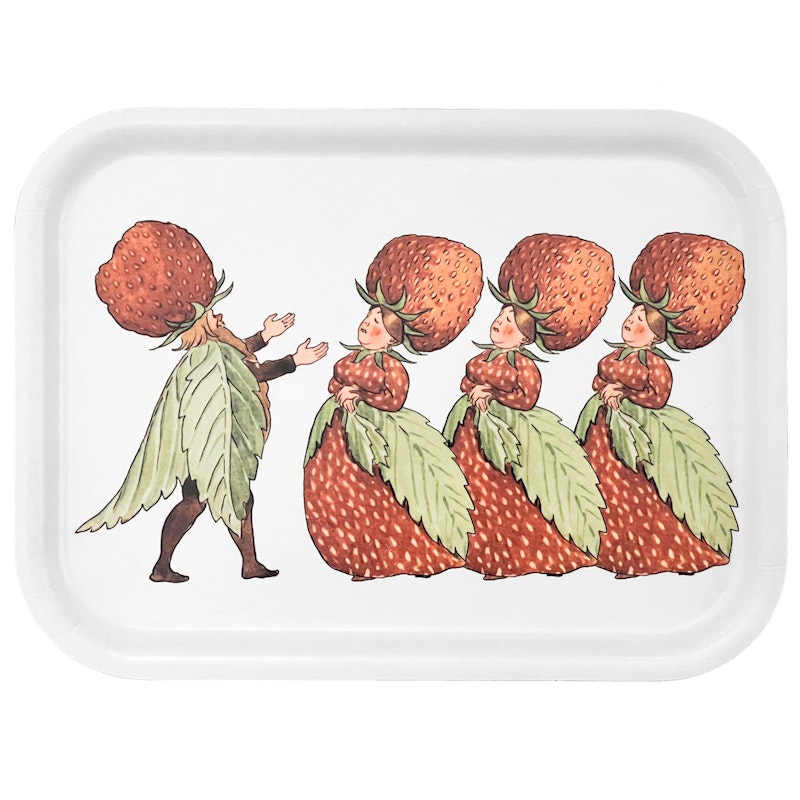 The Strawberry Family Bakke, 20x27 cm