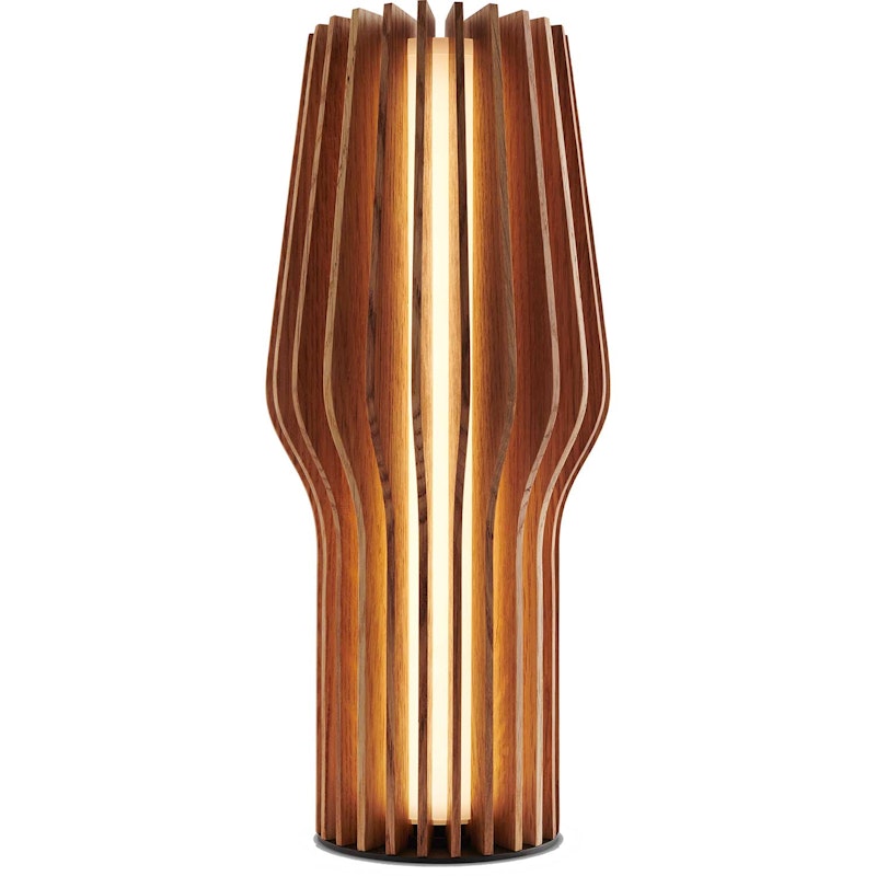 Radiant Lampe, Eg