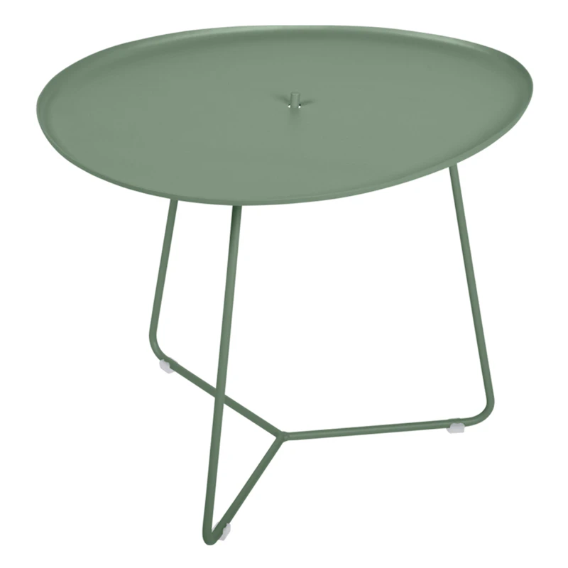 Cocotte Bord, Cactus