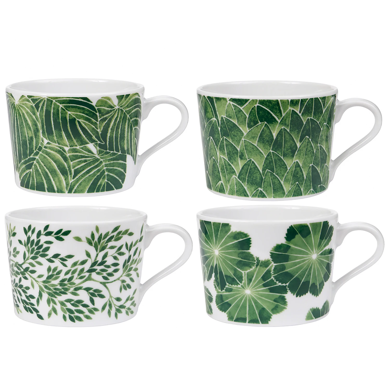 G&ouml;tefors Porslin Botanica S&aelig;t Med 4 Krus 24 Cl t - Kaffekopper Porcel&aelig;n Gr&oslash;n - 018+019+020+021