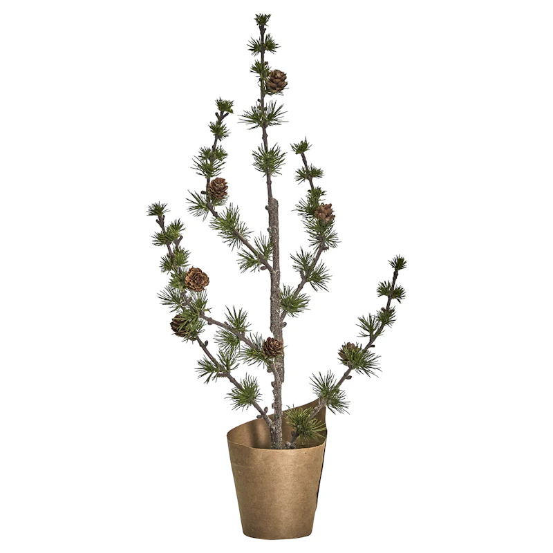 Stay Juletræ, Grønt