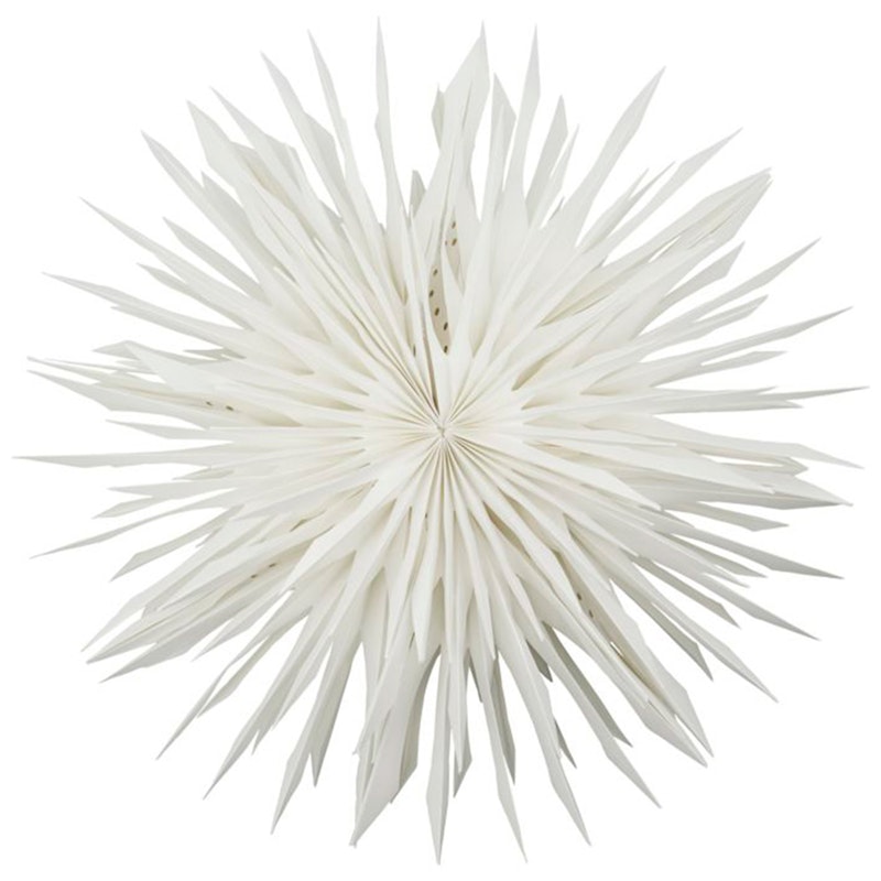 Reef Stjerne Offwhite, 50 cm