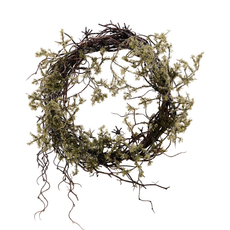 Wild Moss Krans Ø47 cm, Natur