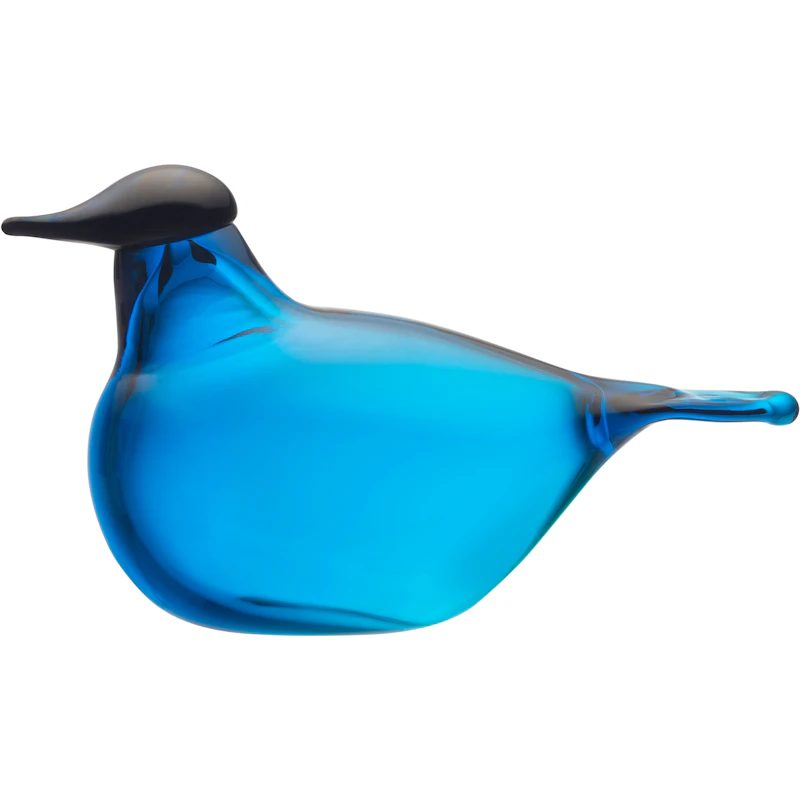 Chiffchaff Glasfugl, Turkis