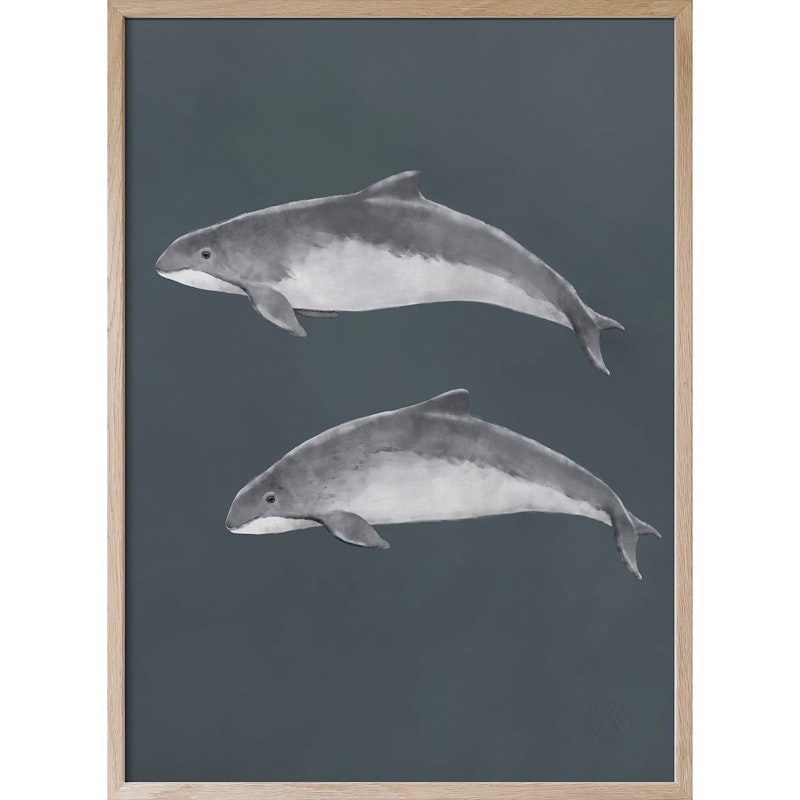 Baltic Porpoise Plakat, 30x40 cm