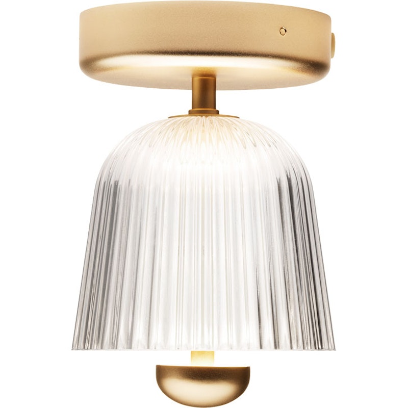 Asteea Loftslampe, Satin Brass / Klar