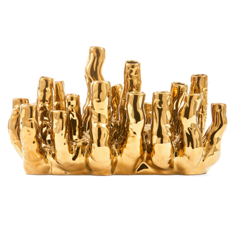 Coral Vase Guld, Reef