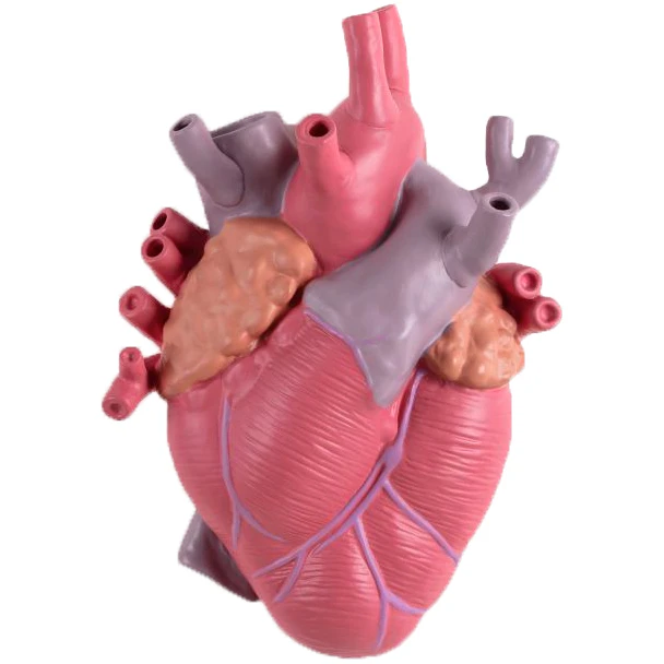 Seletti Love In Bloom Vase Color - Vaser Porcel&aelig;n Rosa - 09923