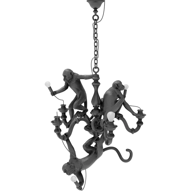 Monkey Lysekrone, Sort
