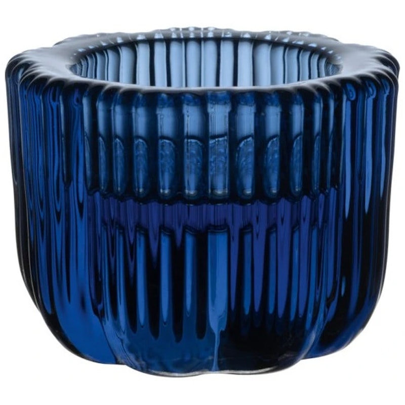 Fleur Lysestage, Bleu