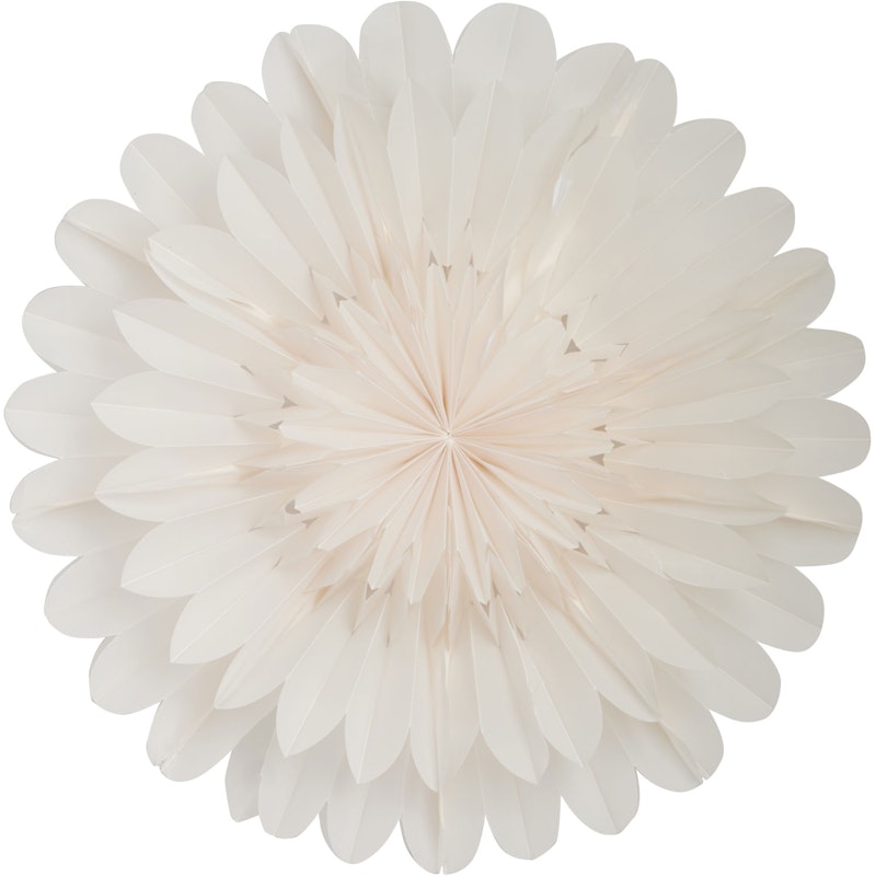 Lotus 60 Christmas Star, White